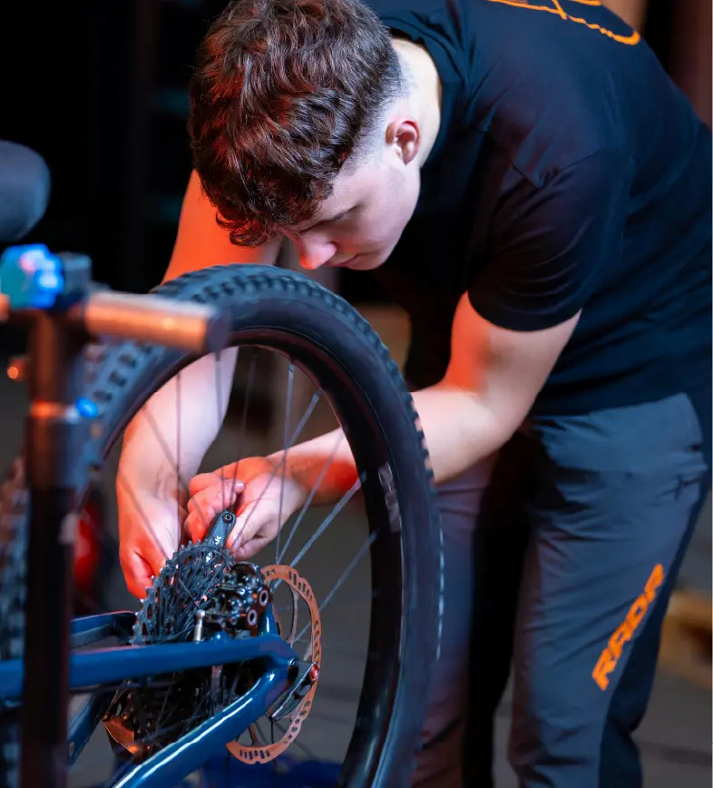 What Our Mechanic Partners Do